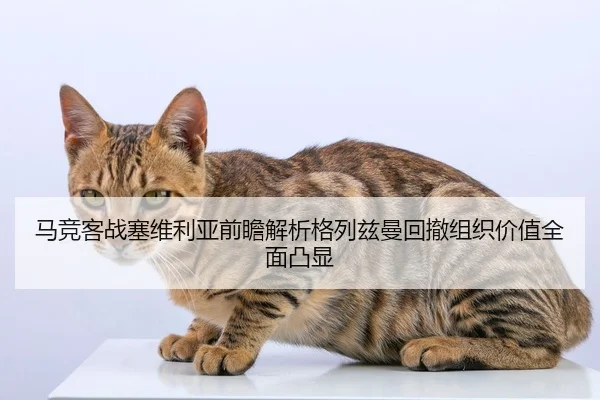 马竞客战塞维利亚前瞻解析格列兹曼回撤组织价值全面凸显